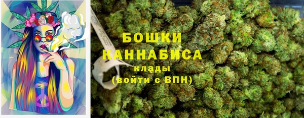 МДПВ Краснослободск