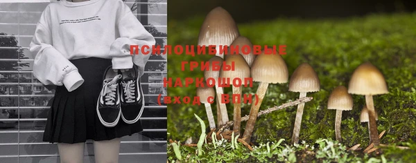 МДПВ Краснослободск