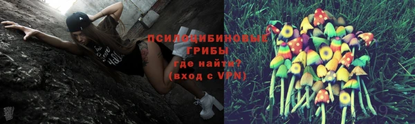 МДПВ Краснослободск