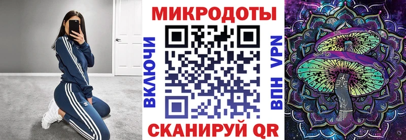 цена   Крымск  Псилоцибиновые грибы Psilocybe 