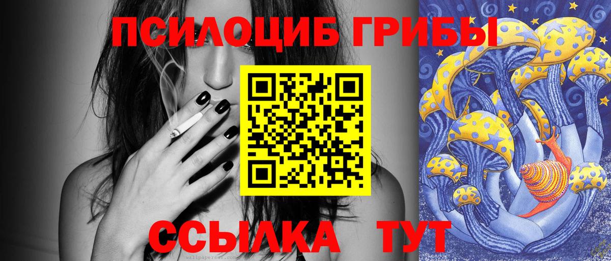 Крымск  Галлюциногенные грибы Psilocybe  Вход с VPN 