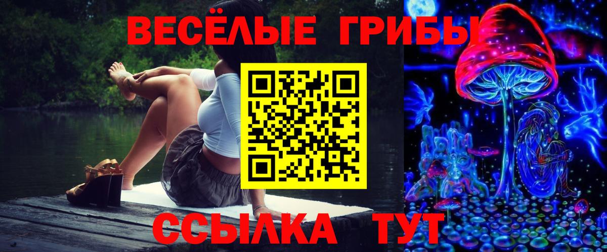 Псилоцибиновые грибы Psilocybe Крымск