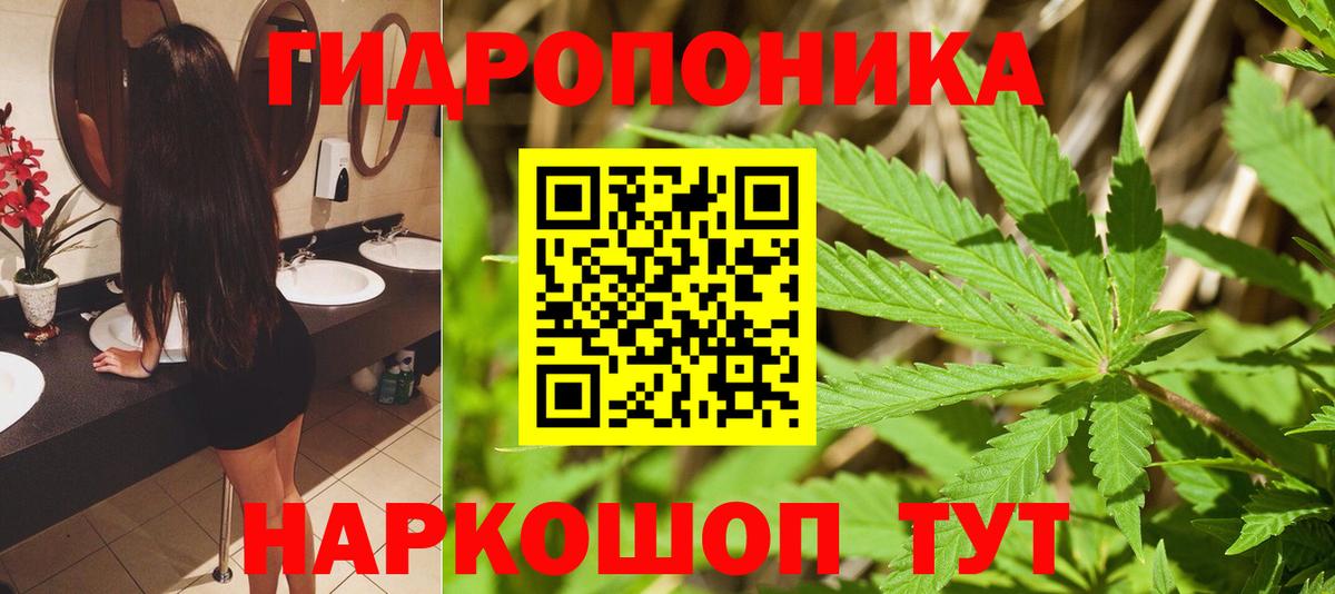Бошки марихуана гибрид Крымск